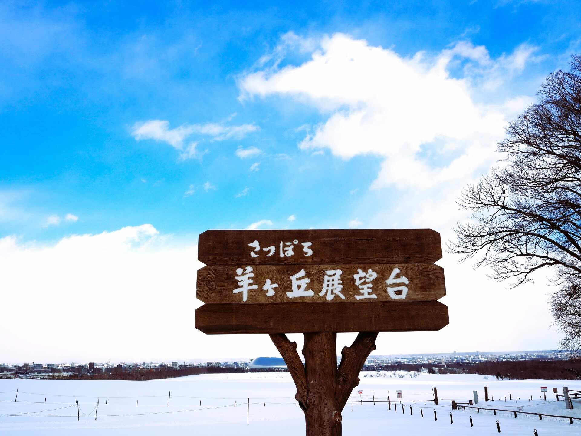 sapporo_hitsujigaoka_snowpark