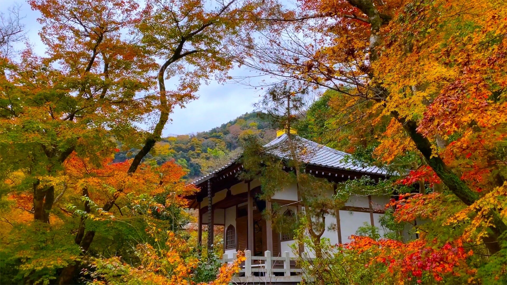 kyoto_arashiyama_hogonin
