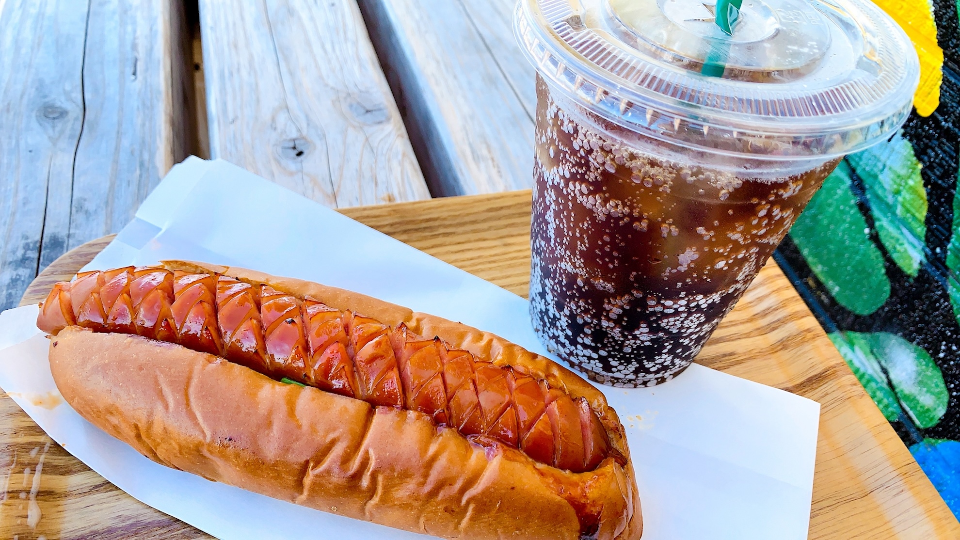 fukuoka_shikanoshimadog