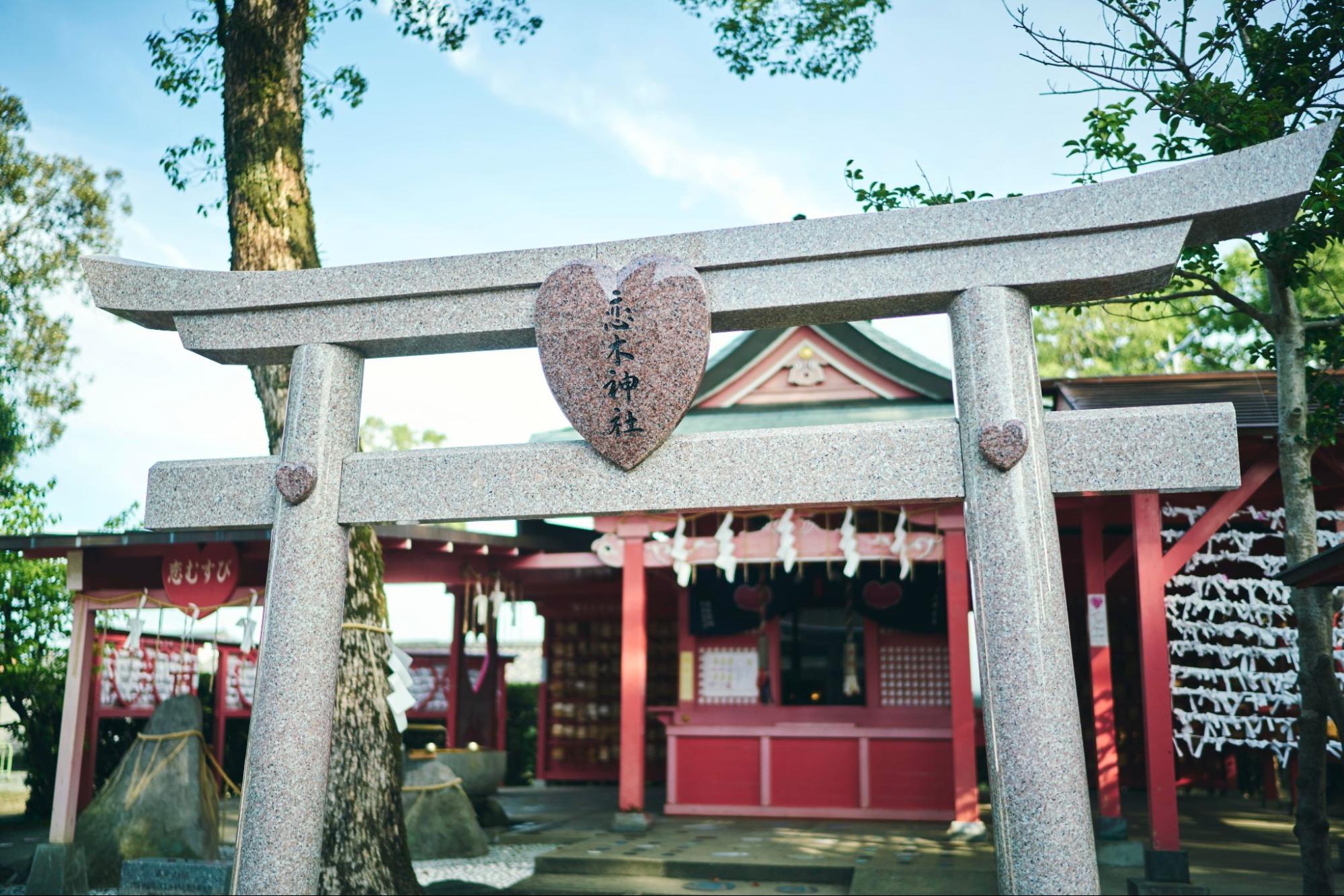 fukuoka_mizuta-koinoki