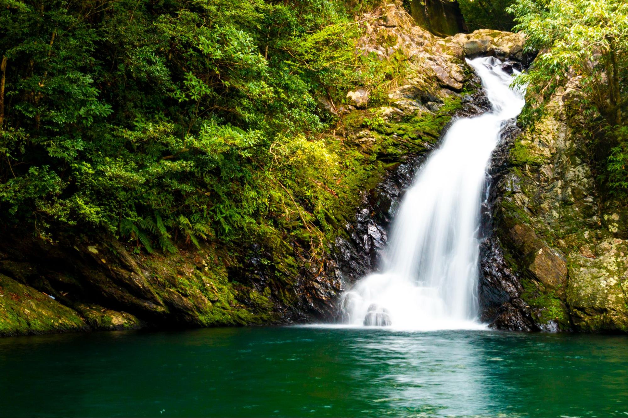 amami materiawaterfall