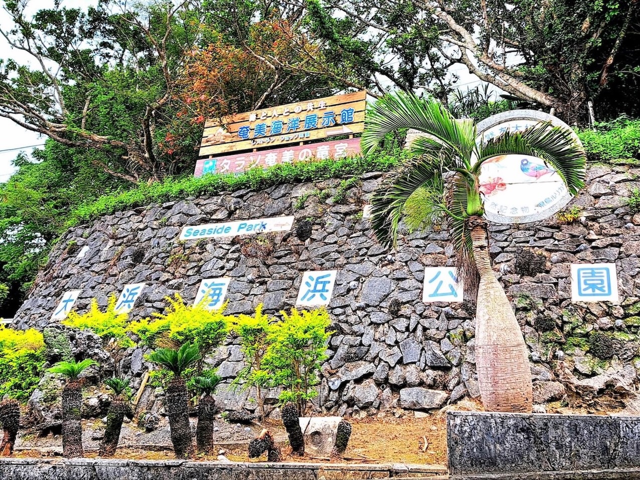 amami ohamaseasidepark