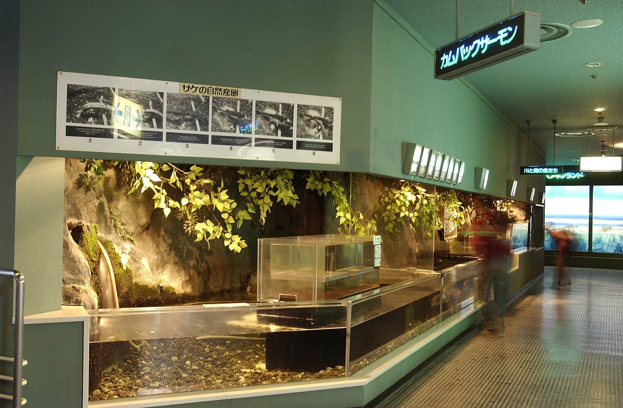 sapporo_sunpiazza-aquarium