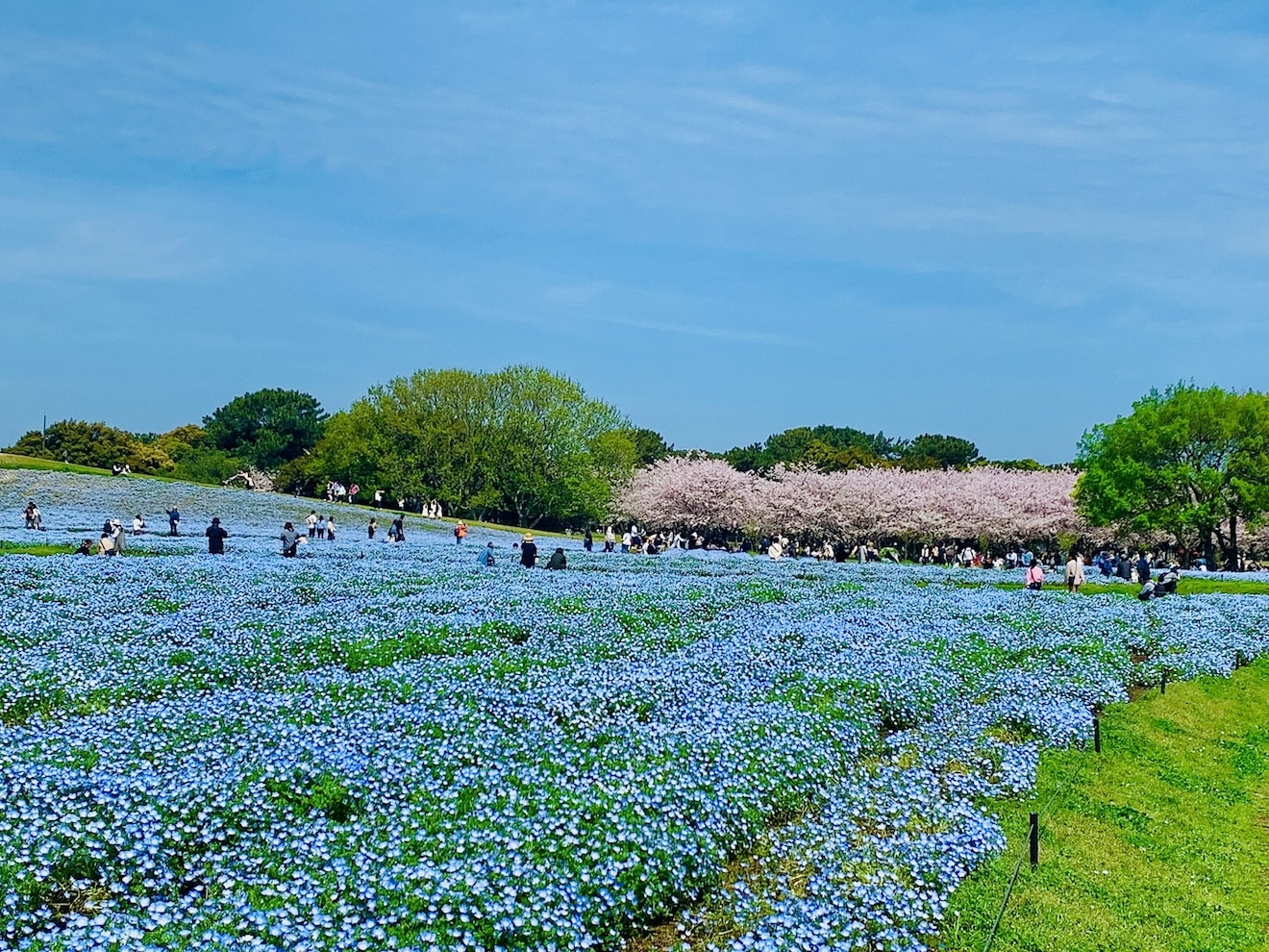 fukuoka_uminaka-park