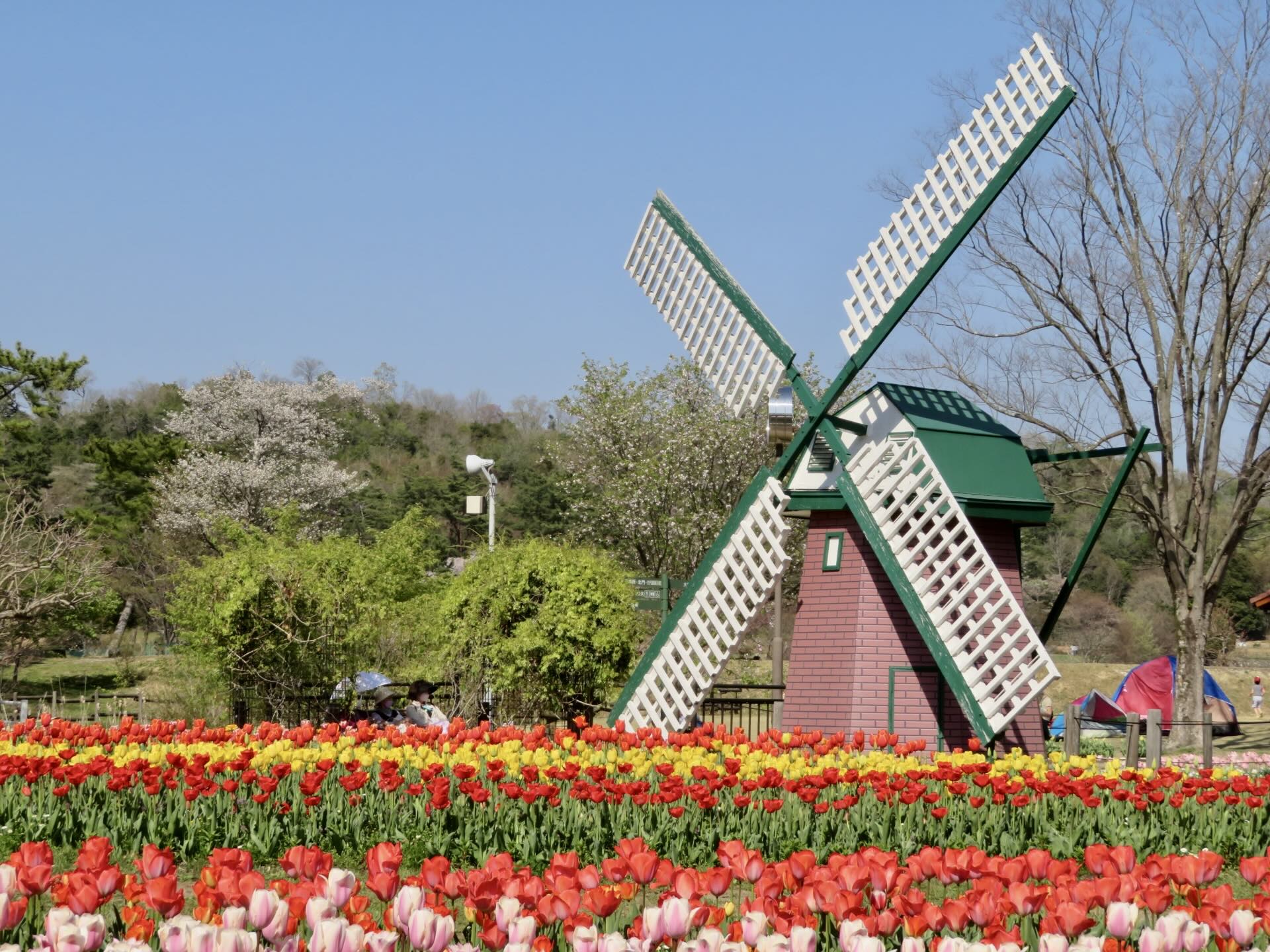 himeji_hyogo_flower_center