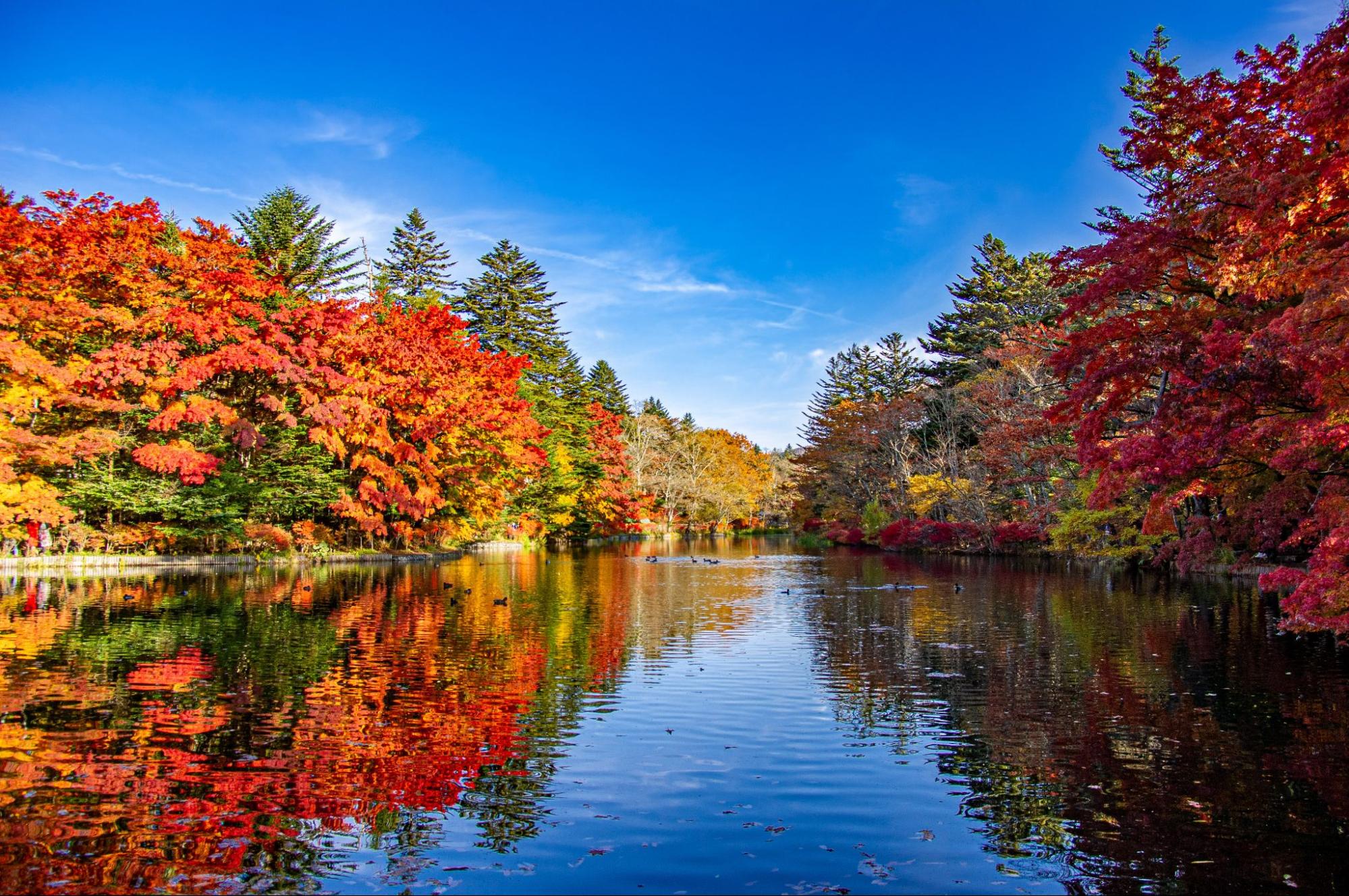 karuizawa kumobalake