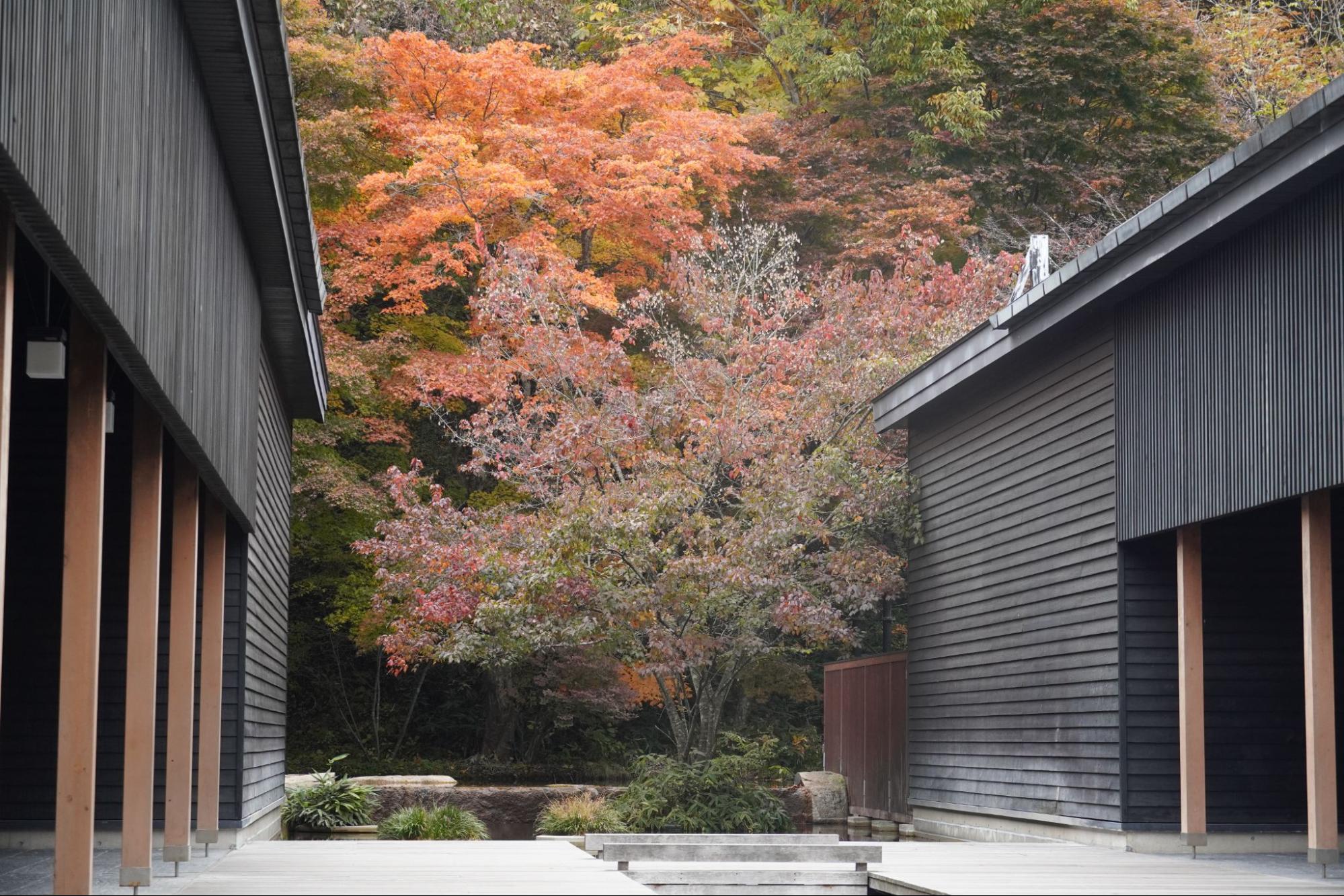 karuizawa tomboonsen